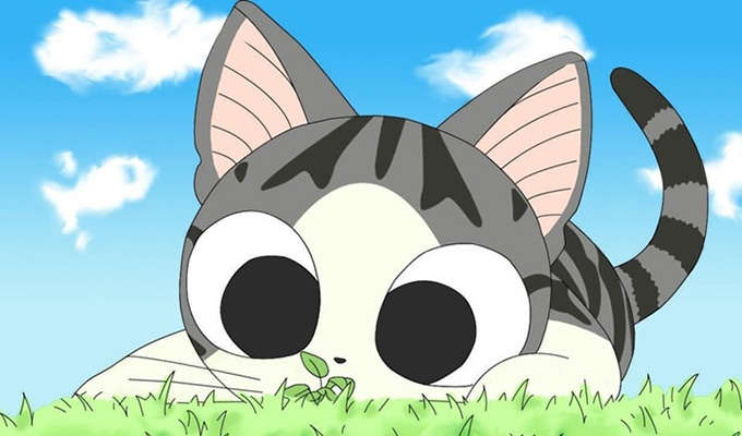 Download 7700 Gambar Animasi Kartun Kucing Paling Baru Download 7700 Gambar Animasi Kartun Kucing Paling Baru