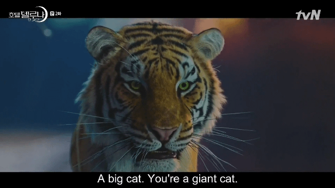 Via https://0.soompi.iohttps://cdn.kincir.com/1/old/2019/08/21004209/Hotel-Del-Luna-tiger-gif-1.gif